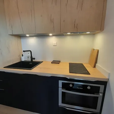 Studio Renove Avec Balcon A 300m De La Plage - - Fr-1-239-983 Apartmán *