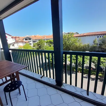 Studio Renove Avec Balcon A 300m De La Plage - - Fr-1-239-983 *